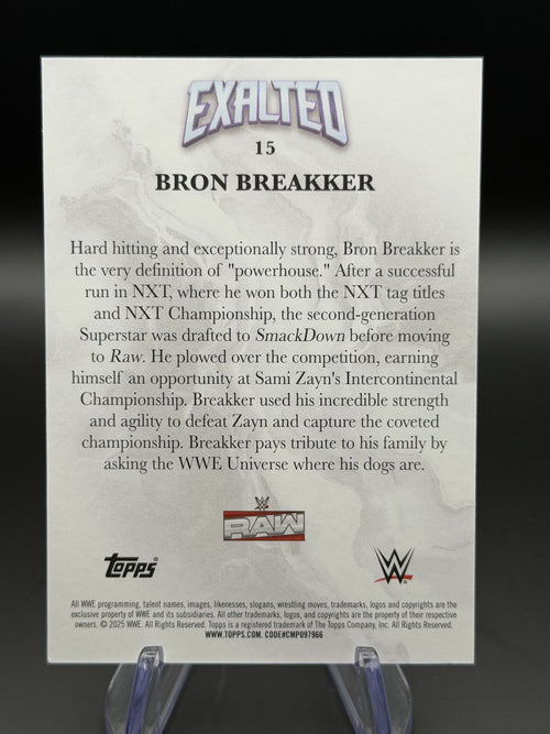 Bron Breakker Exalted 133/150 back