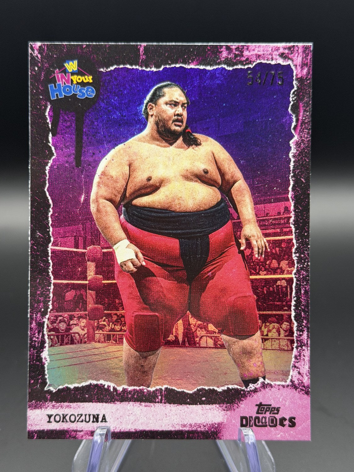 Yokozuna In Your House #21 front